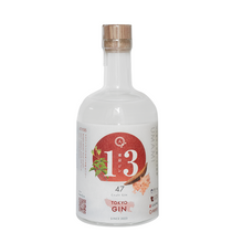 Tải hình ảnh vào trình xem Thư viện, Japanese Craft Gin - Tokyo Gin 500ml