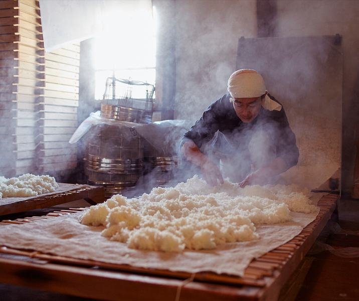 FUJII SHUZŌ — WHERE NATURE BREWS TRADITION